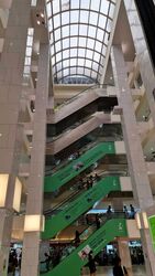 Lucky Plaza (D9), Retail #478703051